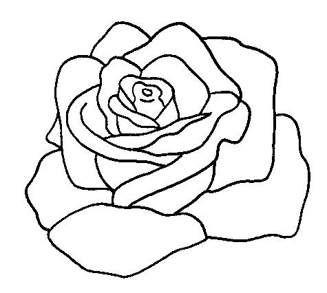 coloriage rose 11