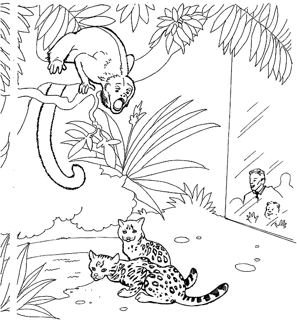 coloriage les animaux du zoo 09  Coloriage en ligne gratuit pour enfant