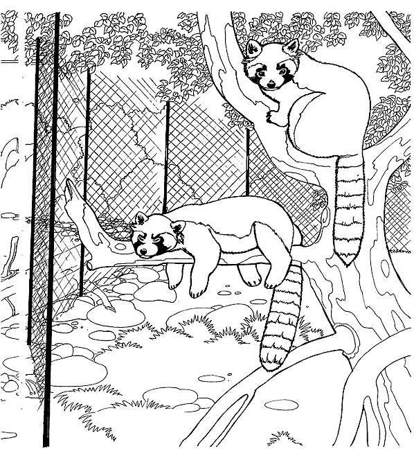 coloriage les animaux du zoo 11