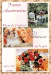 Joyeux Anniversaire