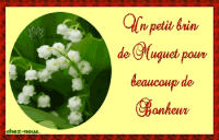 Un petit brin de muguet pour beaucoup de bonheur.