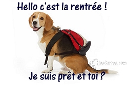 Hello c'est la rentree