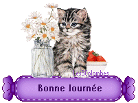 clic gauche et enregistrer