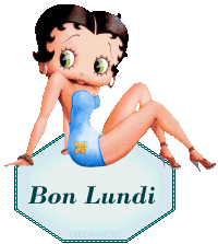 clic gauche et enregistrer