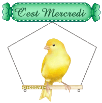 clic gauche et enregistrer