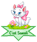 clic gauche et enregistrer