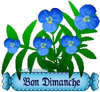 clic gauche et enregistrer
