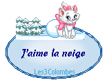 clic gauche et enregistrer