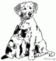 coloriage-chien-et-chat-23