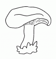 coloriage de champignon2 05