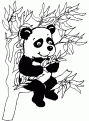 coloriage de panda 01