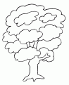 coloriage arbre 02