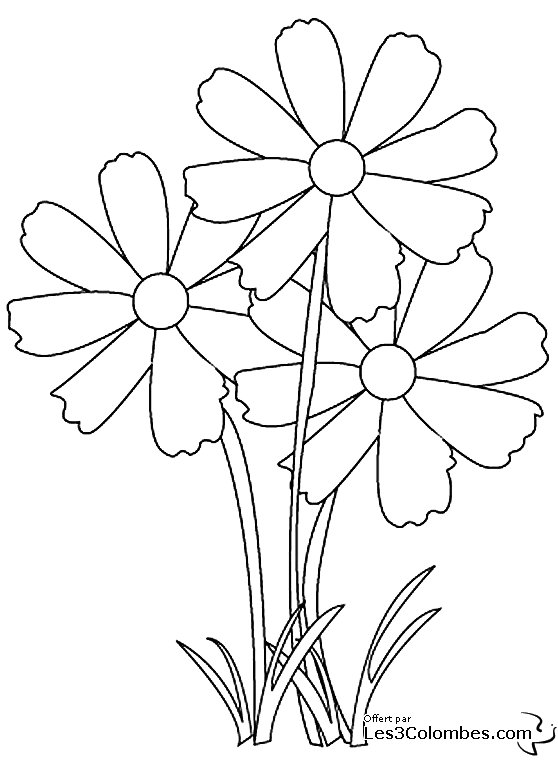 coloriage bouquet de fleur 36