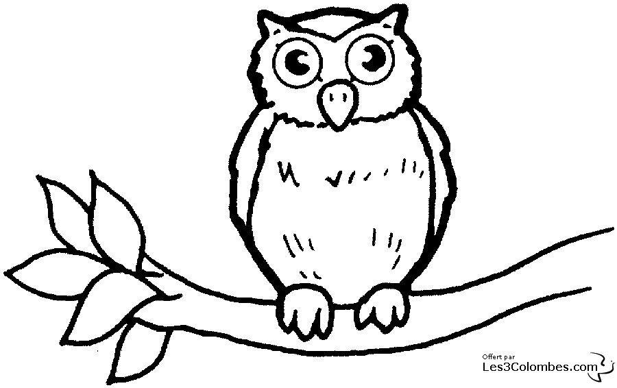 coloriage petite chouette ou hibou 40