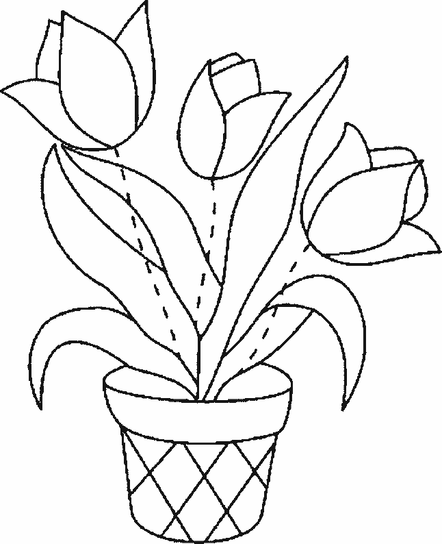 coloriage tulipe 08